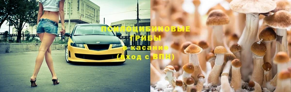 марки nbome Аркадак