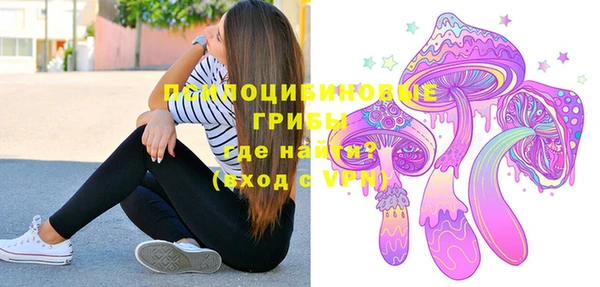 дживик Лабытнанги