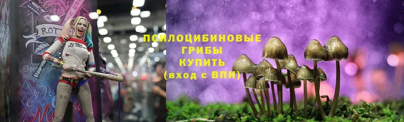 Галлюциногенные грибы Magic Shrooms  Вилюйск 